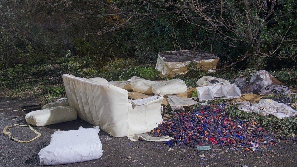 Decaying furniture and other waste among trees