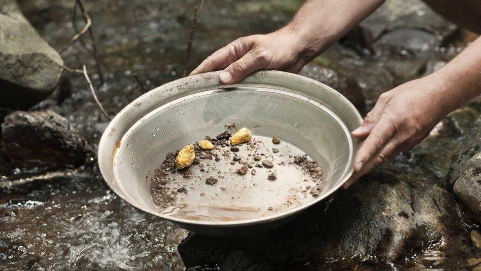 gold panning - stock photo