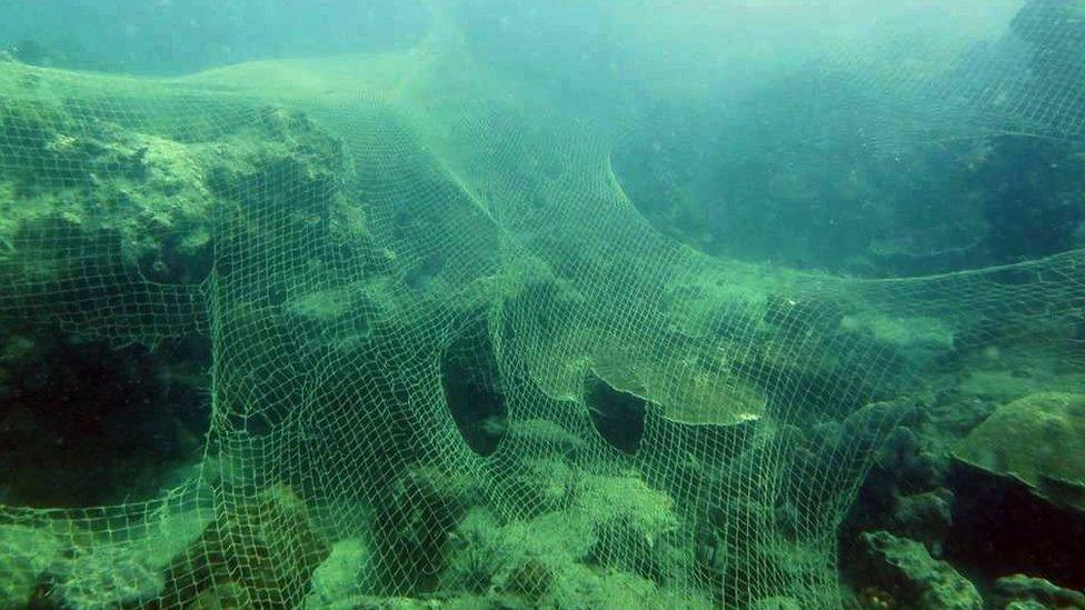 Nets on the sea bed