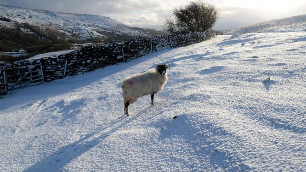 Scenery near Reeth, North Yorkshire