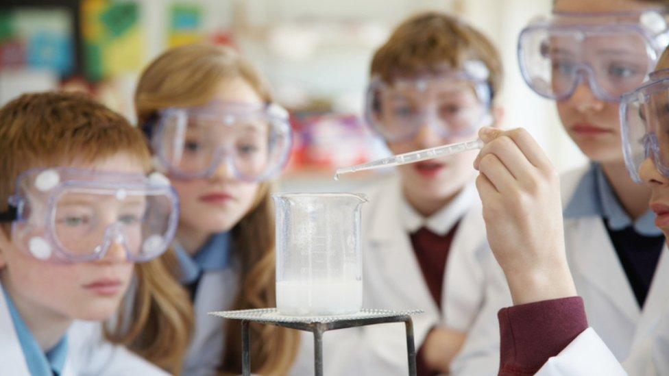 Children in science lesson