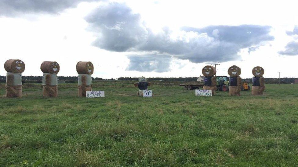 Hay bale art