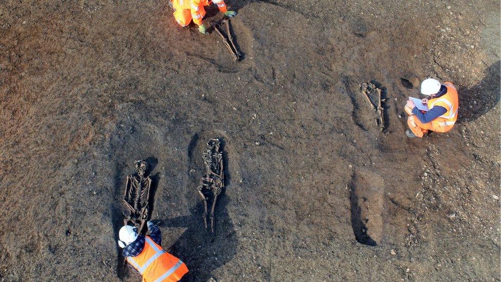 Archaeologists dig in the earth around uncovered skeletons