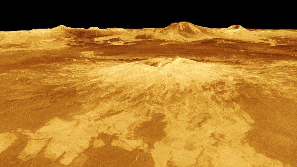 The surface of Venus