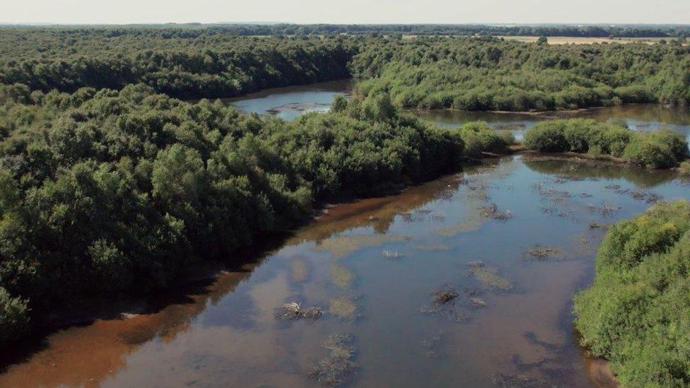 Drone view of Thorne and Hatfield Moors