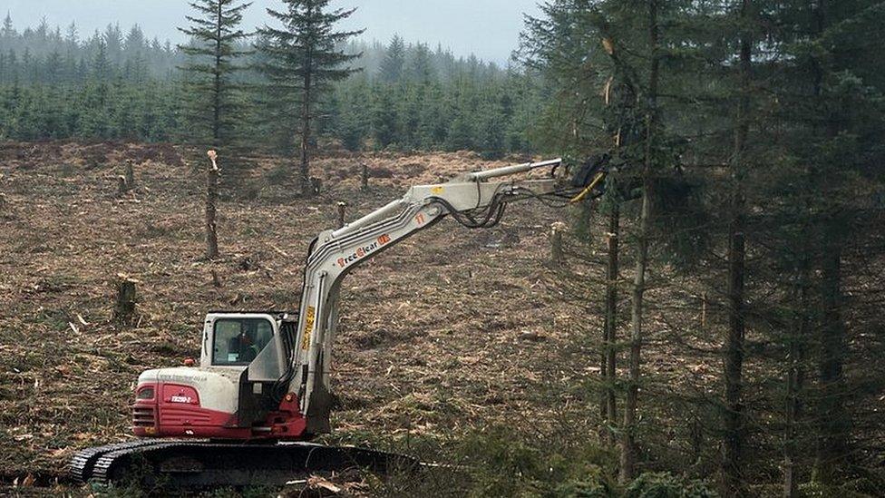 Vertical mulcher