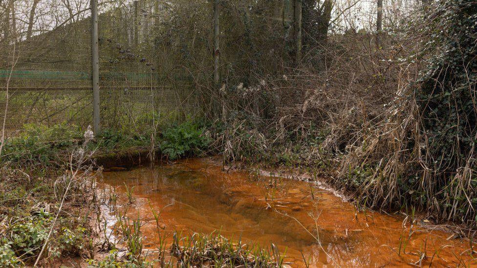 Polluted river