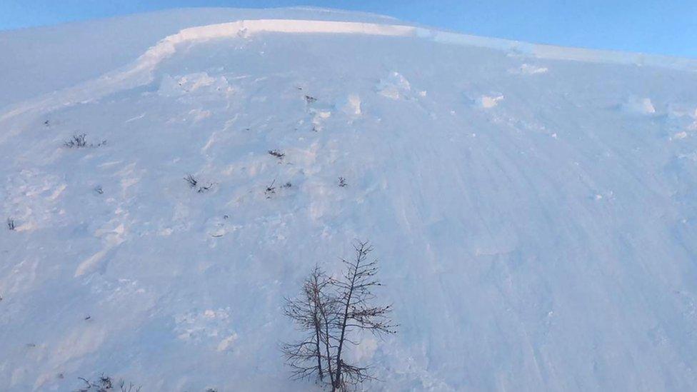 A snowy mountaintop with just the tip of a tree poking out is seen in this handout photo of the affected area from the alpine resceu service