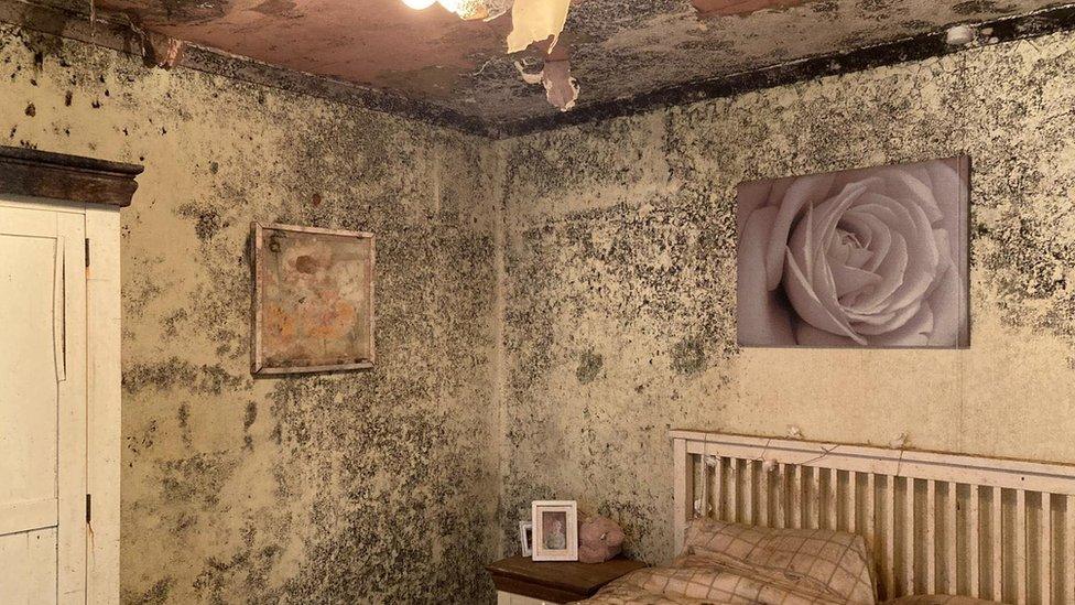 Mouldy walls in a bedroom