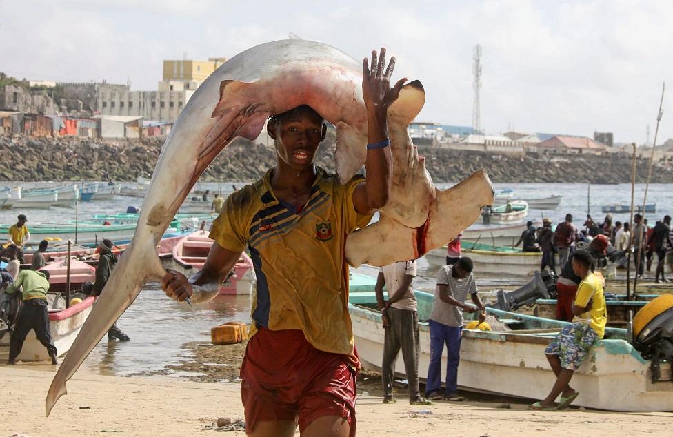 A man carries a fish at Orobo beach in the Hamarweyne district of Mogadishu, Somalia.