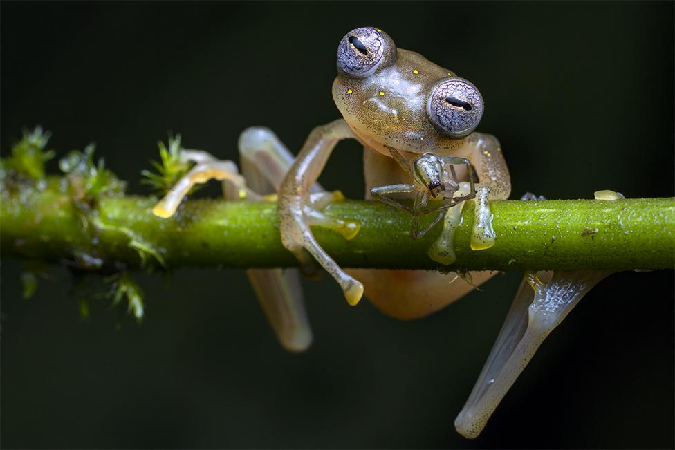 Life in the balance by Jaime Culebras, Spain