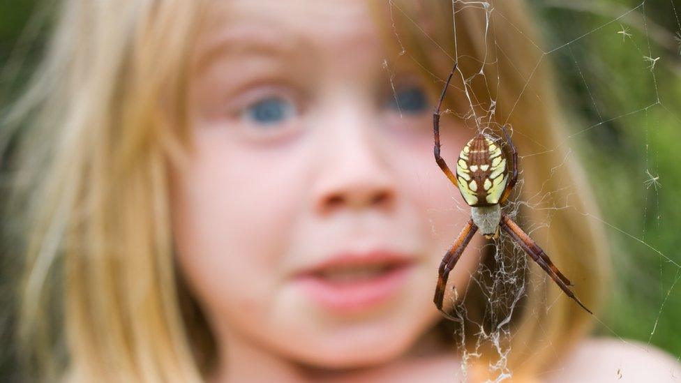 girl-spider-web.