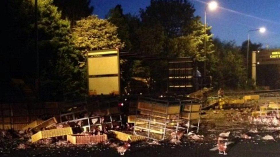 Chickens spilled on M62