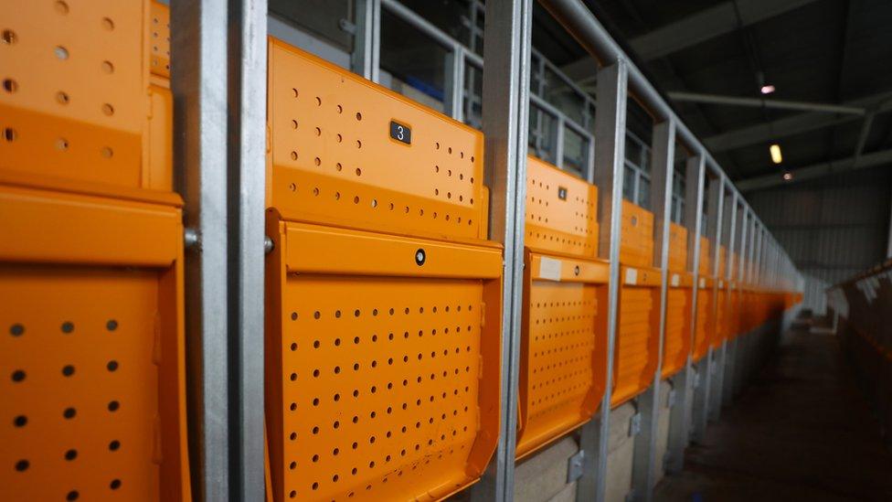 Safe-standing-rails