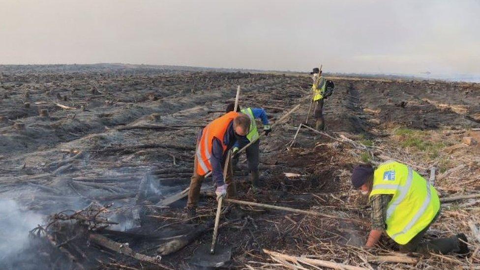 wildfire damage