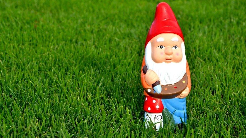 Gnome