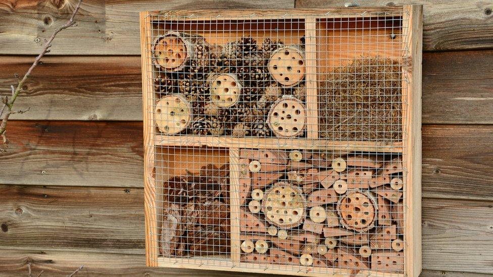 bug hotel