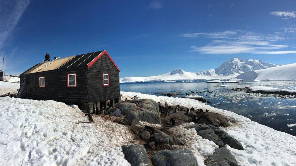 Port Lockroy