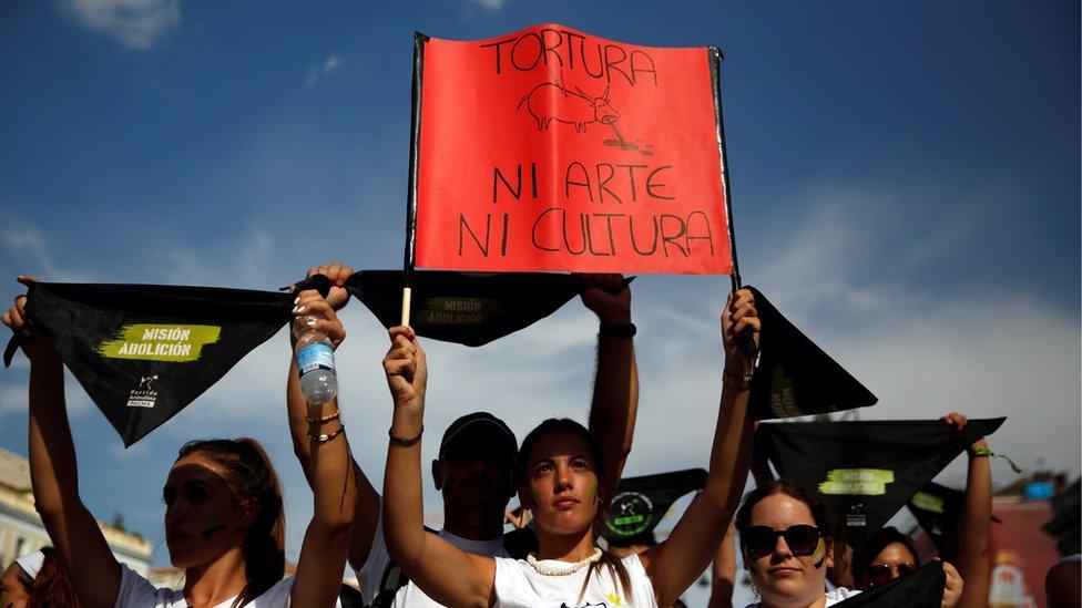 An animal rights activist holds a banner that reads "Torture, neither art, nor culture" at the start of a demonstration to demand a ban on bullfighting in Madrid