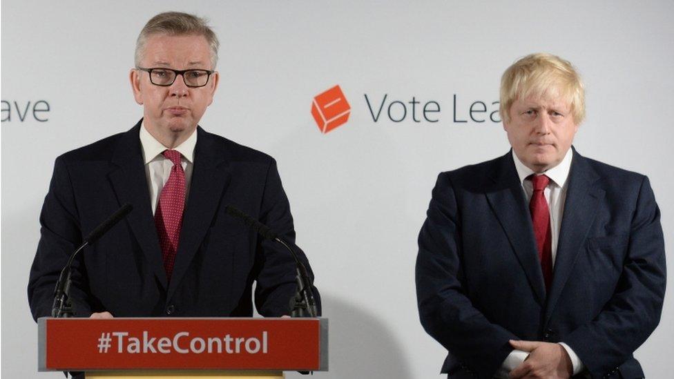 Michael Gove and Boris Johnson led the Vote Leave campaign