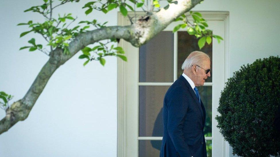 Photo of Joe Biden outside the White House