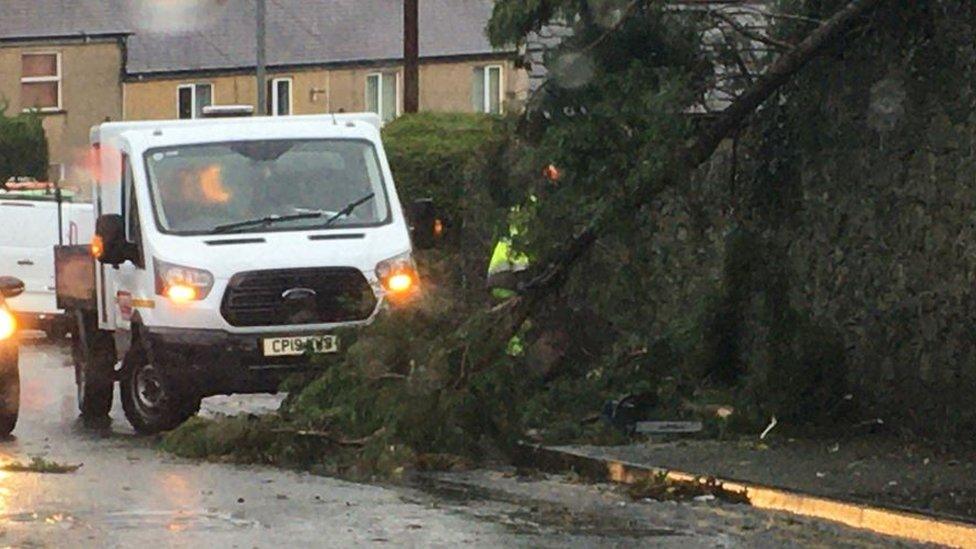 A fallen tree on Pentraeth Road, Menai Bridge on Anglesey