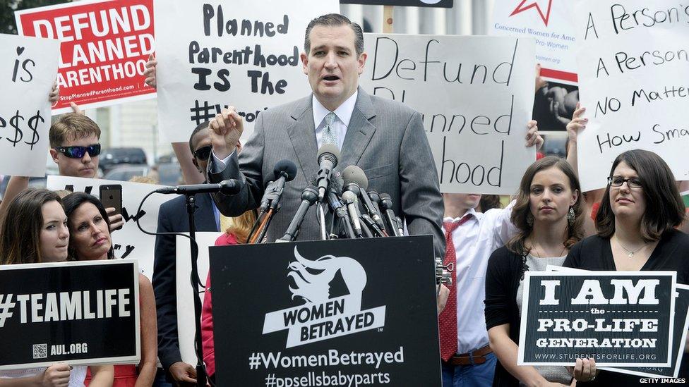 Senator Ted Cruz attends an anti-abortion rally outside the Supreme Court