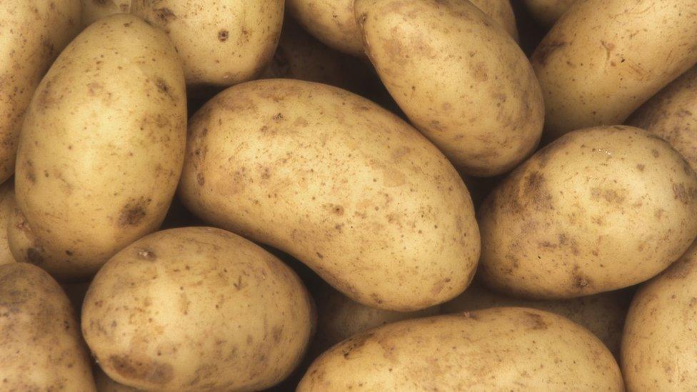 Potatoes.