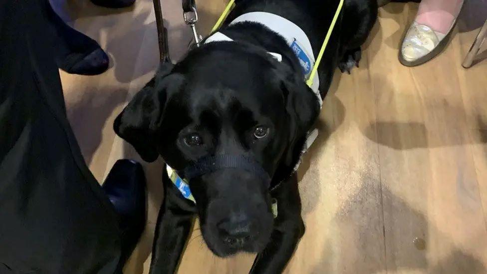 A black dog sitting on the floor wearing a guide dog harness