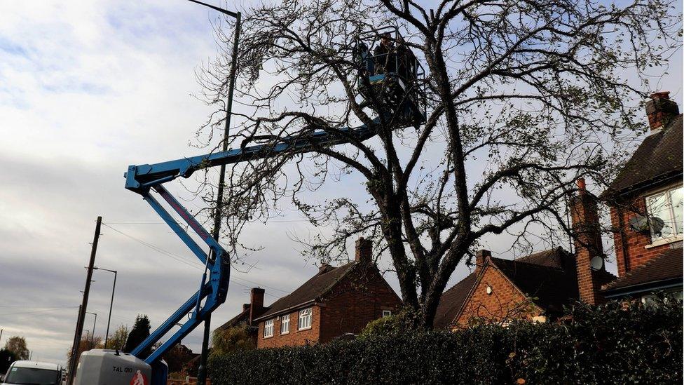 Andy Black used a cherry picker to add the lights to the top of the tree