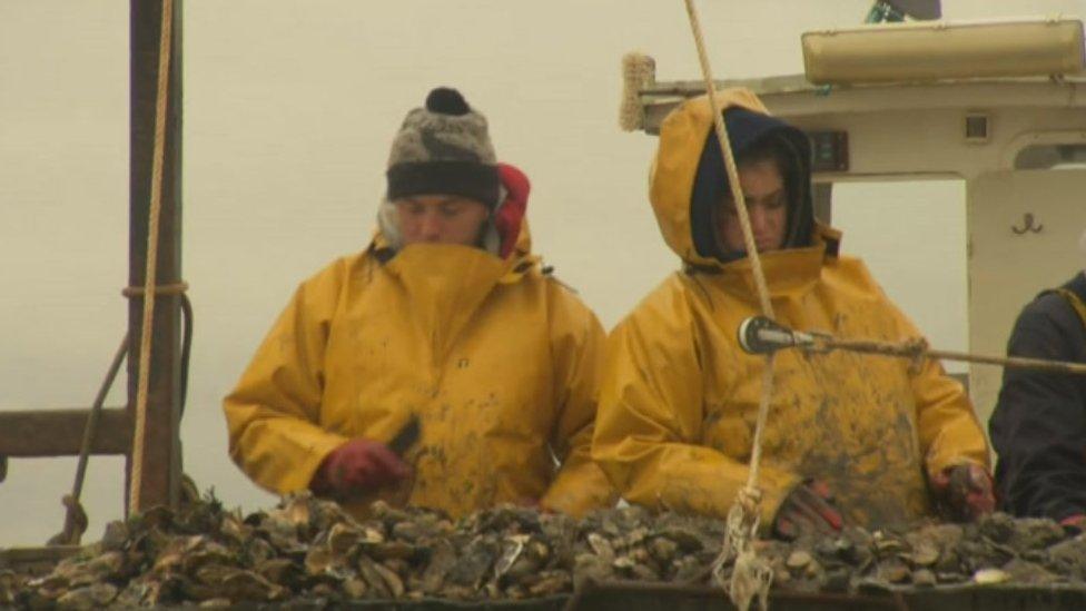 Oysterman and oysterwoman, Colchester Oyster Fishery