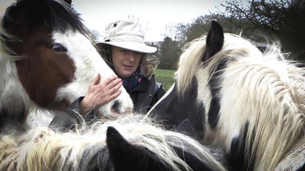 Robbie Bartington with three horses