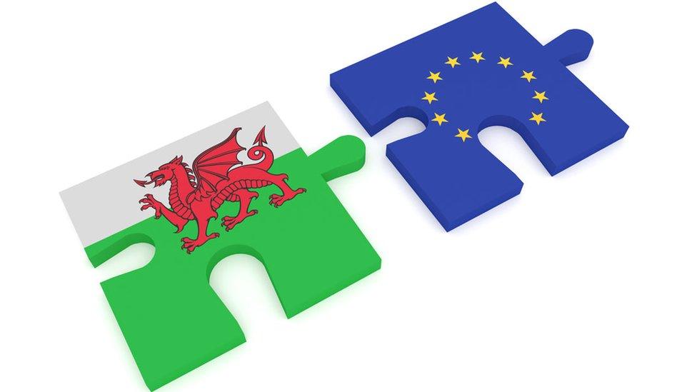 Jigsaw pieces EU and Wales