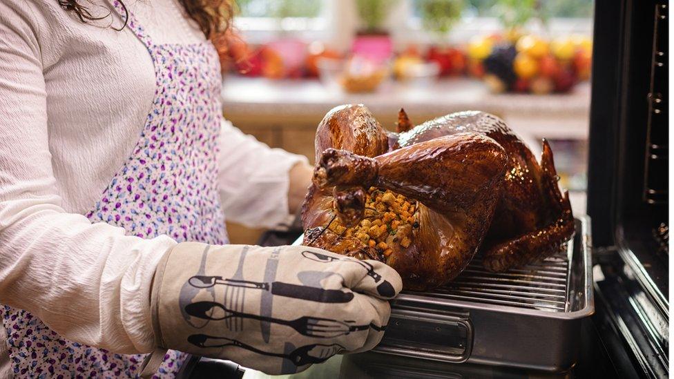 Woman with a roast turkey - stock shot