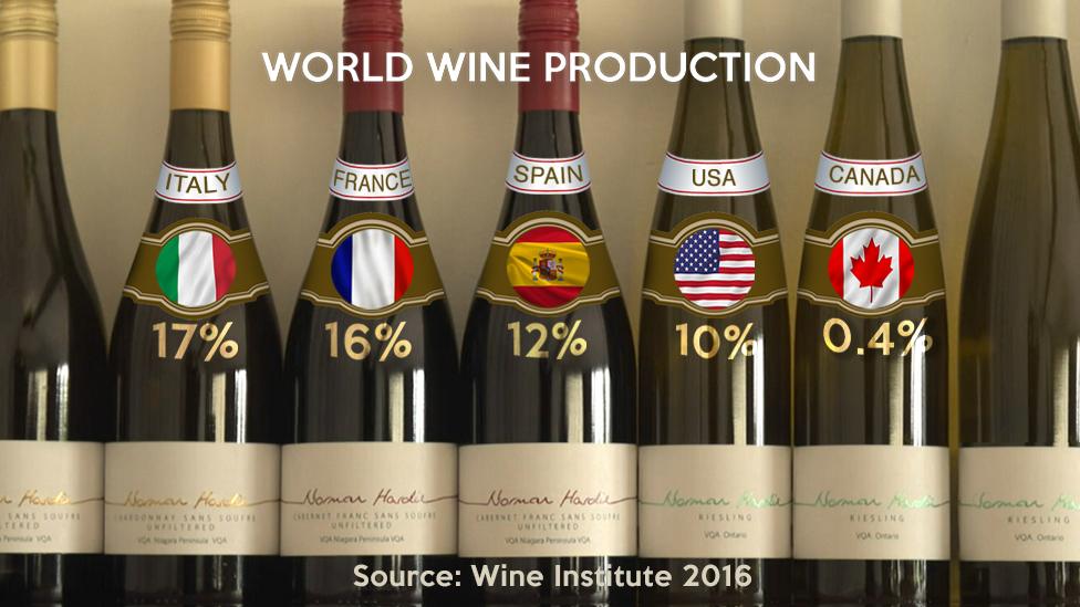 Global wine production