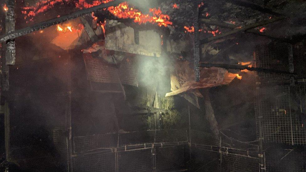 Picture of the fire at the Wildlife Conservation Park