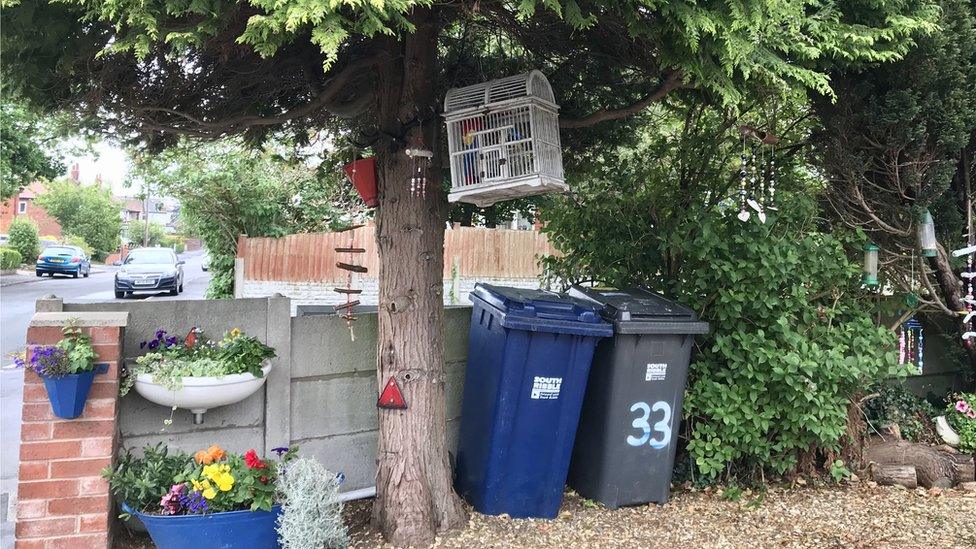 Cage in tree in front garden