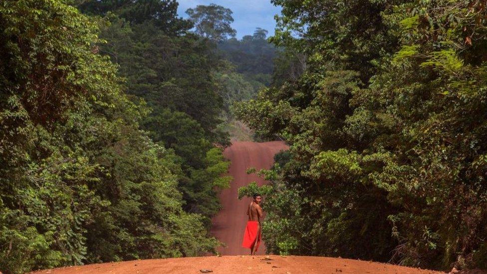 High earners were persuaded to invest in projects focused on reforesting areas of Brazil