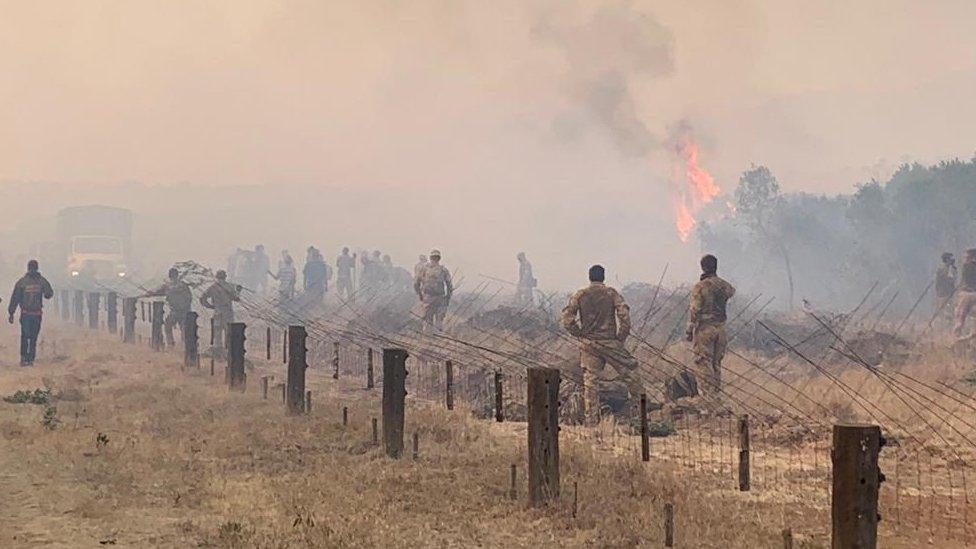 Fire at Lolldaiga conservancy