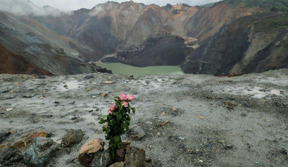 Flowers at the mine