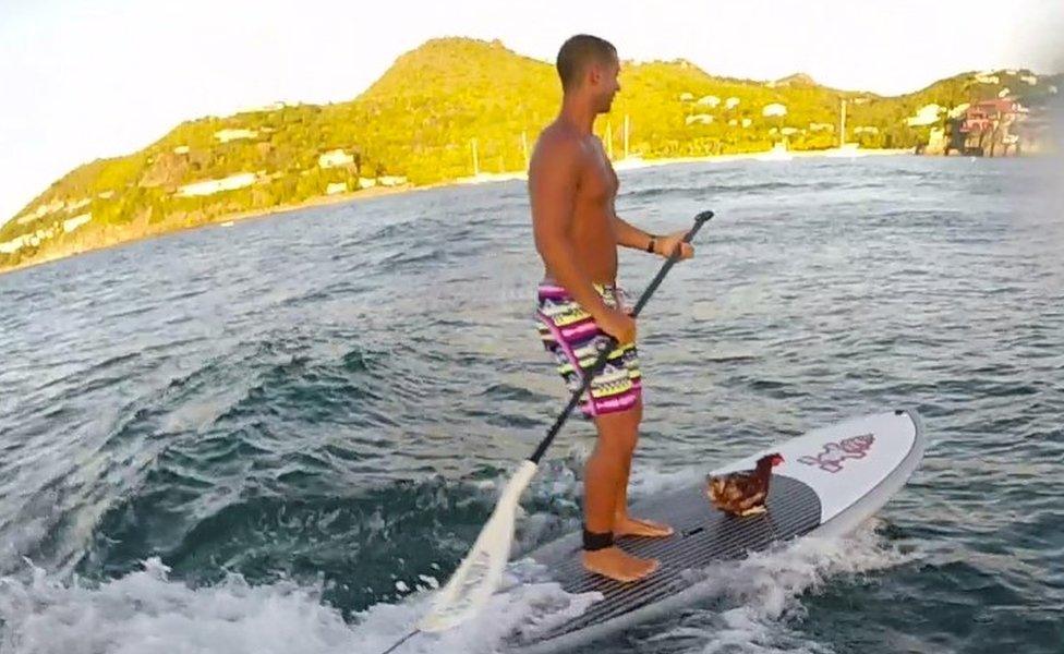 Sailor Guirec Soudee and hen Monique on a surfboard in the Antilles