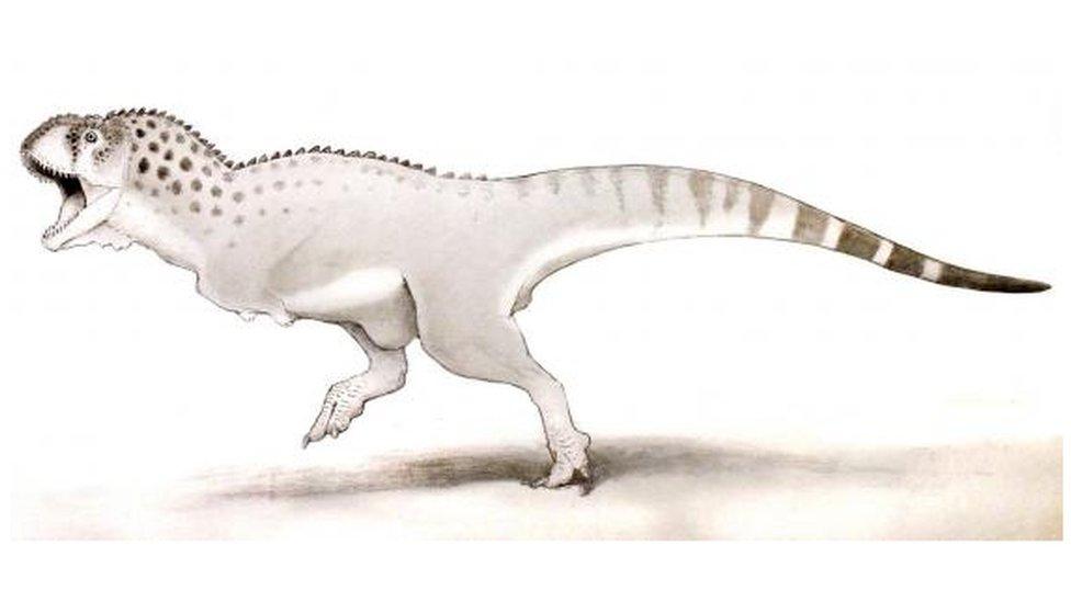 Abelisaurus