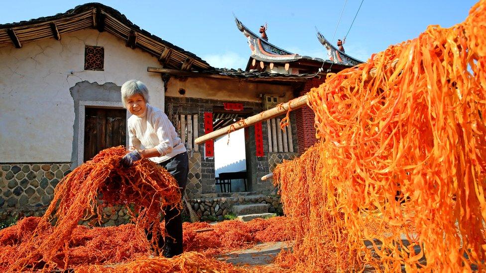 A woman carries persimmon skin in Anxi county, Quanzhou, Fujian province