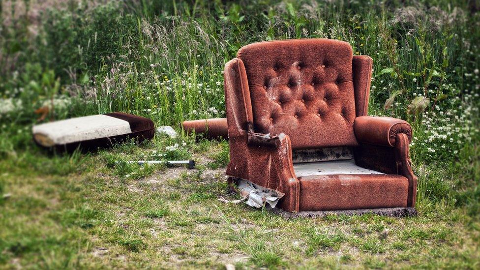 An armchair and mattress abandoned in a field