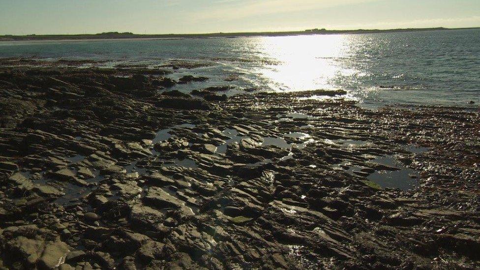 North Ronaldsay