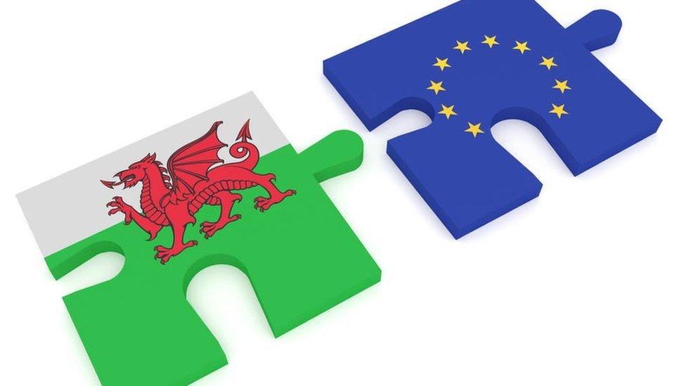 Wales and EU jigsaw pieces