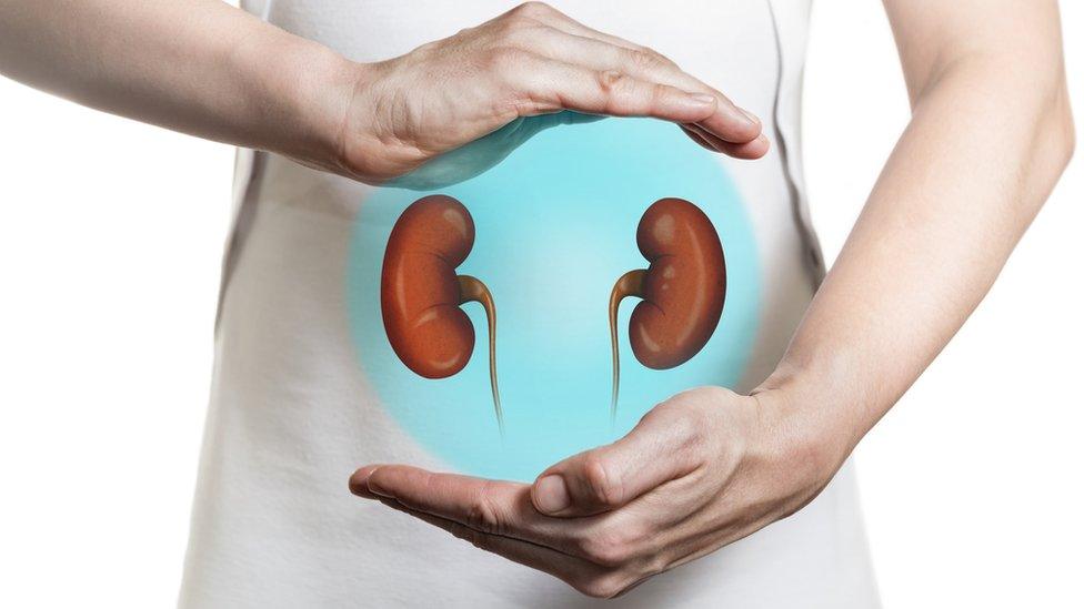 person-with-hands-around-kidneys.