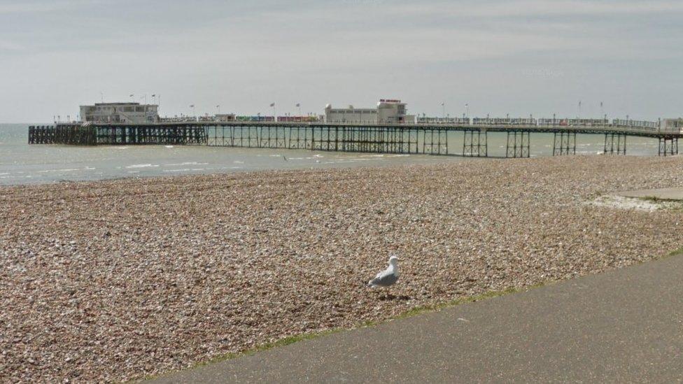 Gull on Worthing beach