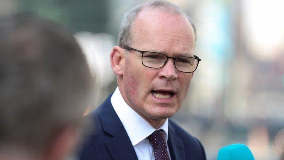 Ireland's Foreign Minister Simon Coveney