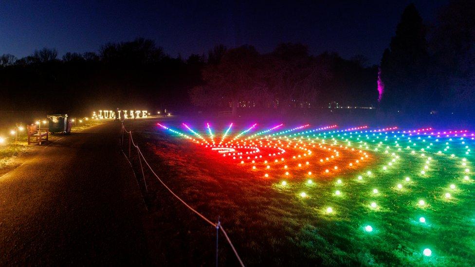 Light show at Coombe Abbey Park